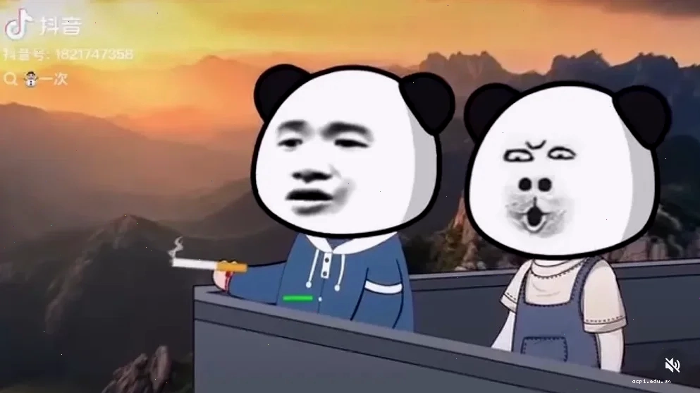 Meme gấu hài trung quốc ôm đầu