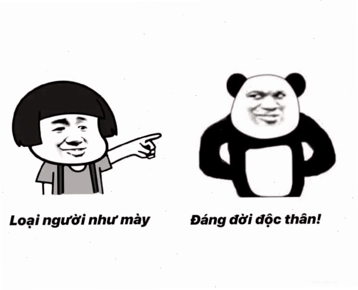 Meme gấu trúc bá đạo loạt chữ Đéo
