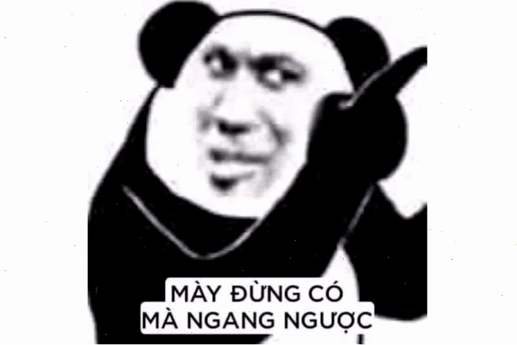 Gấu trúc chỉ tay meme Meme gấu trúc chỉ tay đuổi khách