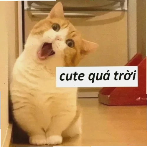 meme gấu trúc em đẹp lắm
