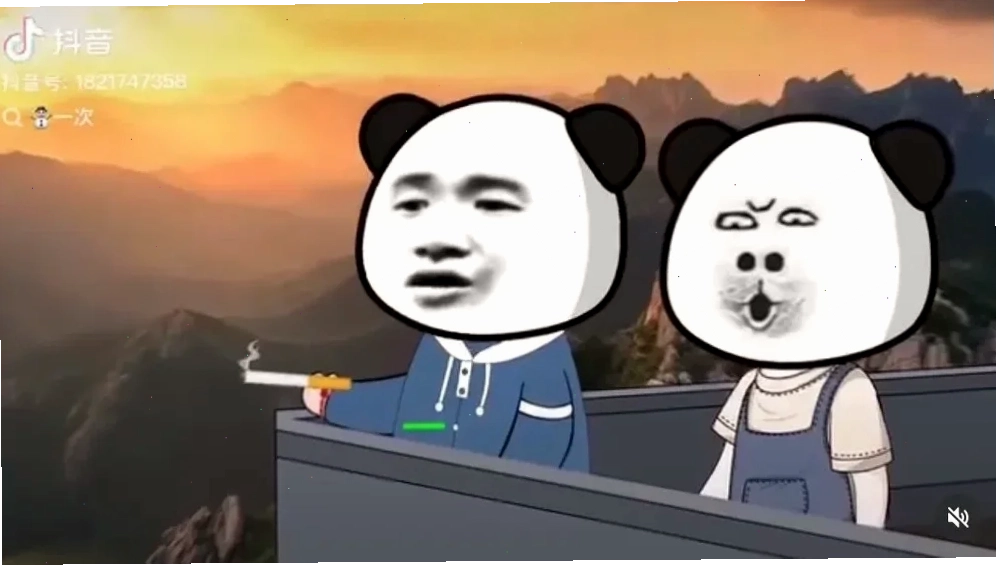 Meme gấu trúc hài hước từ chối