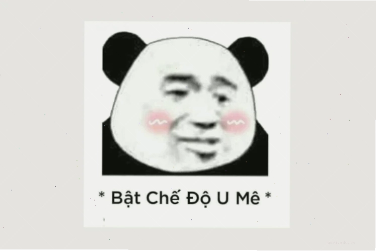 meme gấu trúc trung quốc bựa