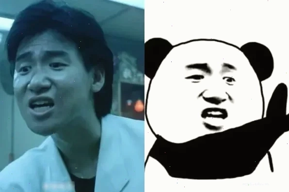 meme gấu trúc trung quốc buồn bã