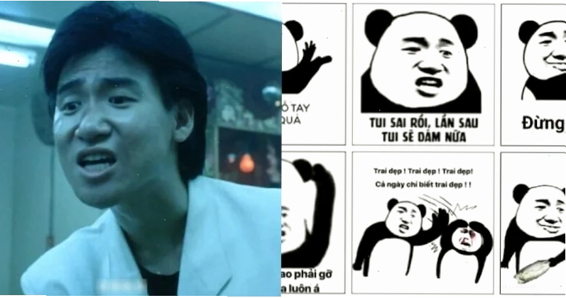 meme gấu trúc trung quốc chỉ tay