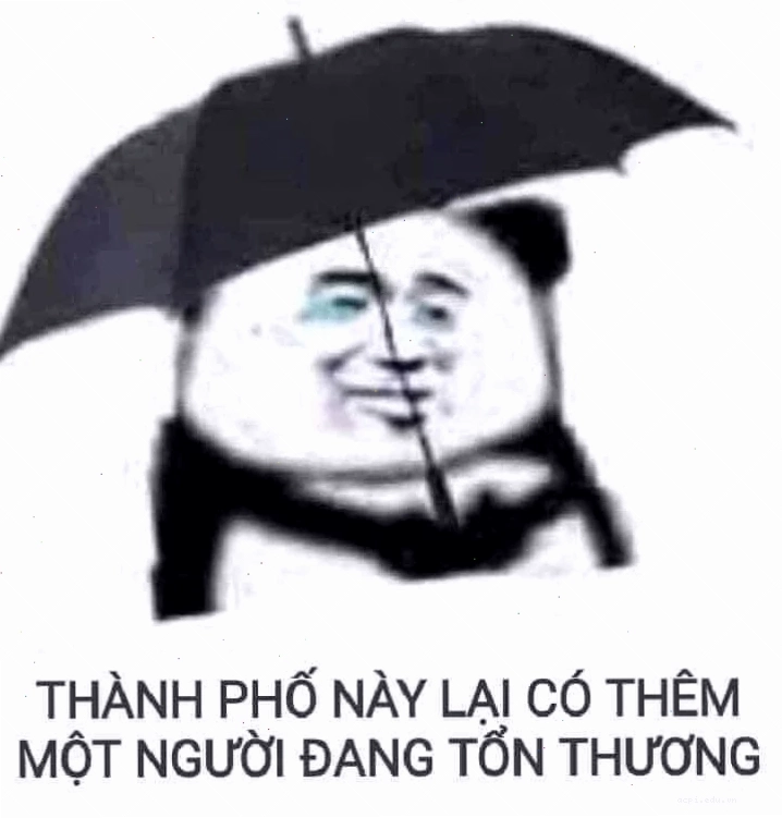 meme gấu trúc trung quốc công an