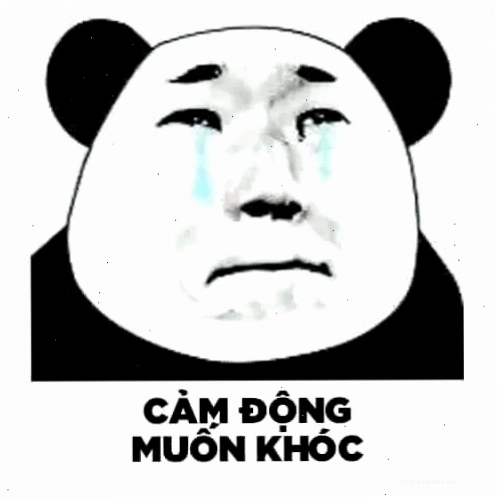 meme gấu trúc trung quốc cực bựa