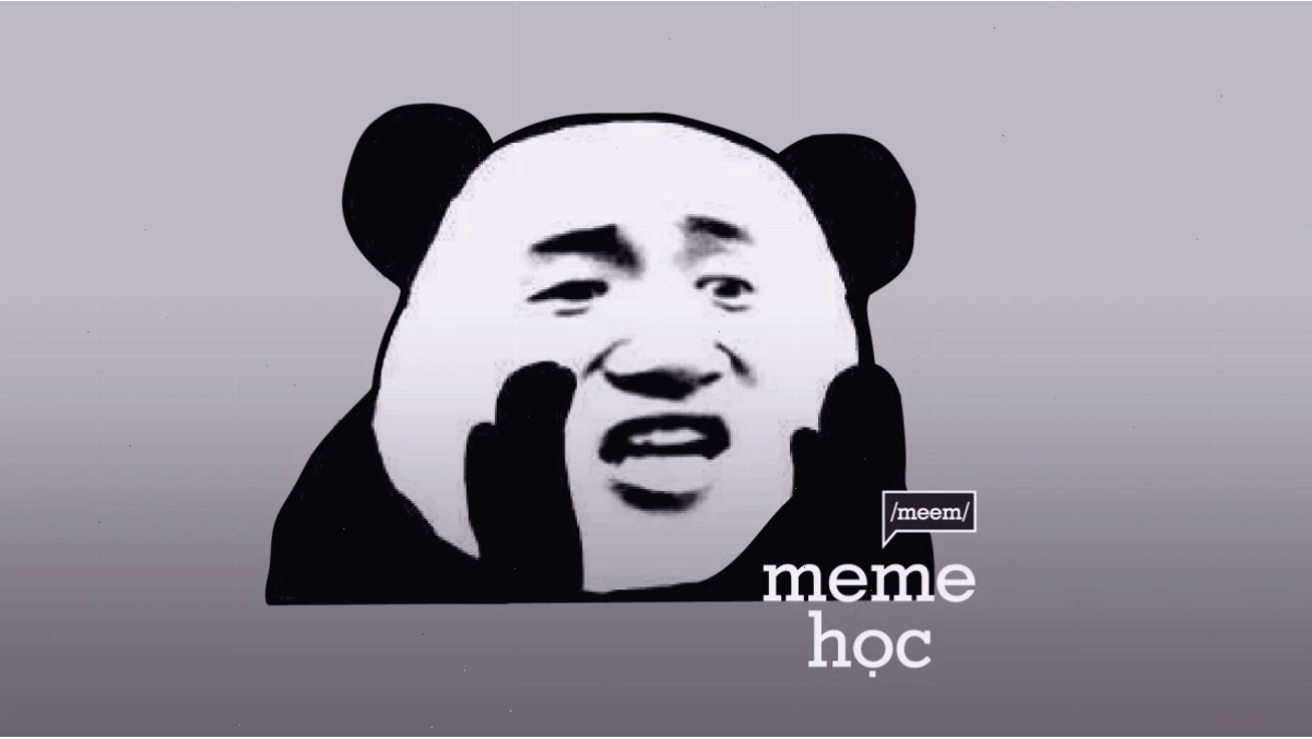 meme gấu trúc trung quốc điêu dân