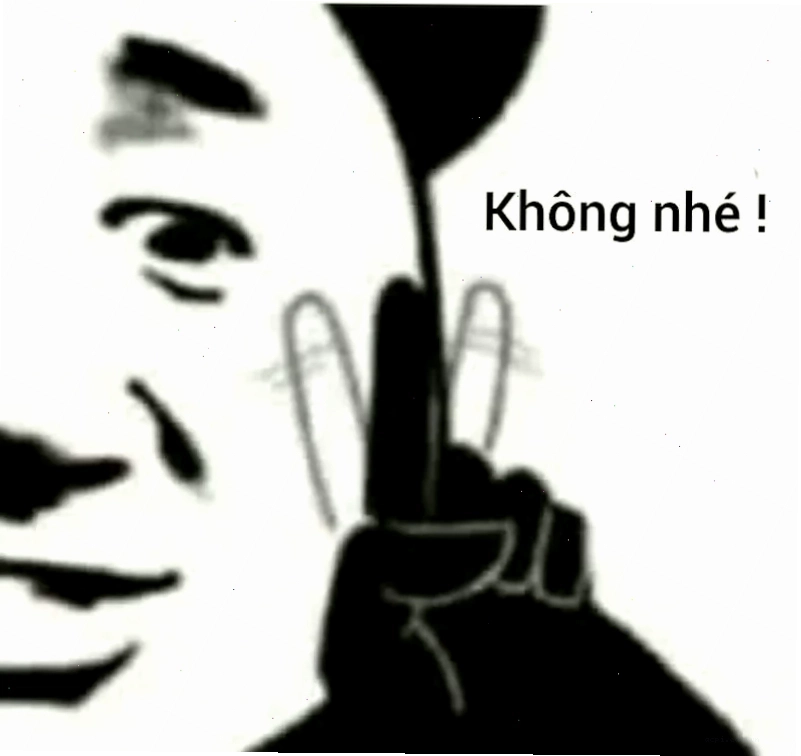meme gấu trúc trung quốc e lệ
