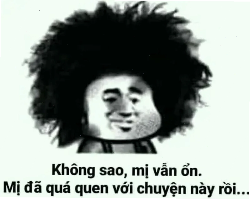 meme gấu trúc trung quốc gây sốc
