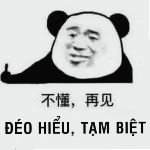 meme gấu trúc trung quốc hài hước