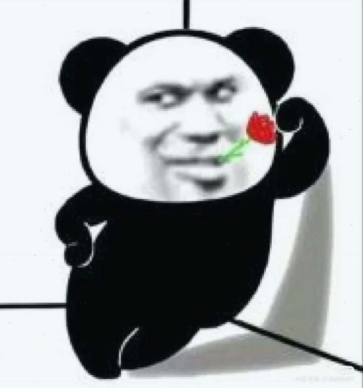 meme gấu trúc trung quốc lầy lội