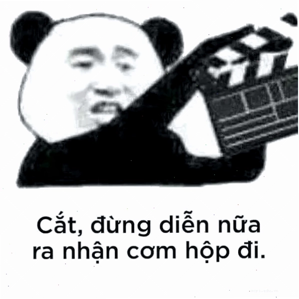 meme gấu trúc trung quốc quậy