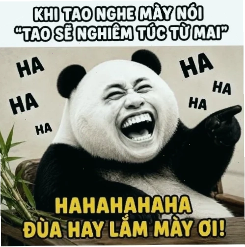 meme gấu trúc trung quốc tương phản