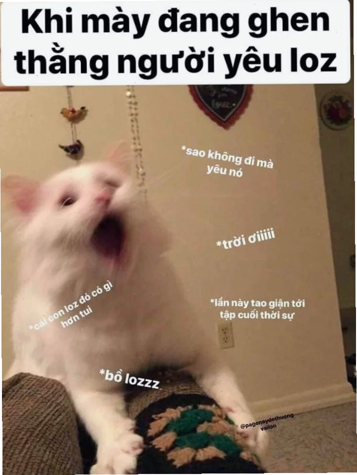 meme ghen