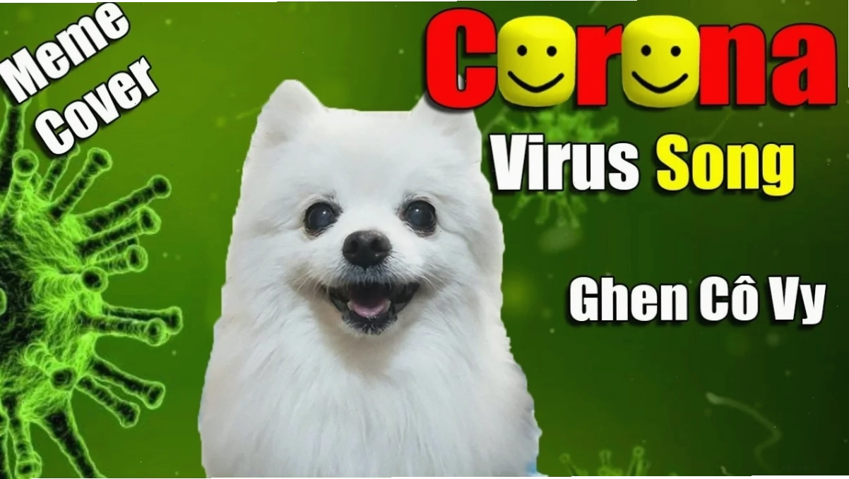 meme ghen ăn tức ở