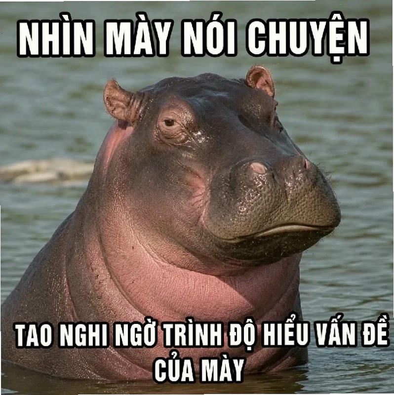 meme hà mã chờ đợi