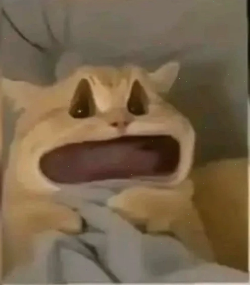 meme há miệng sốc
