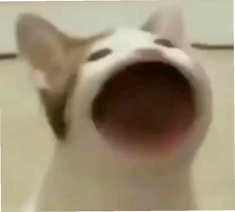 meme há mồm