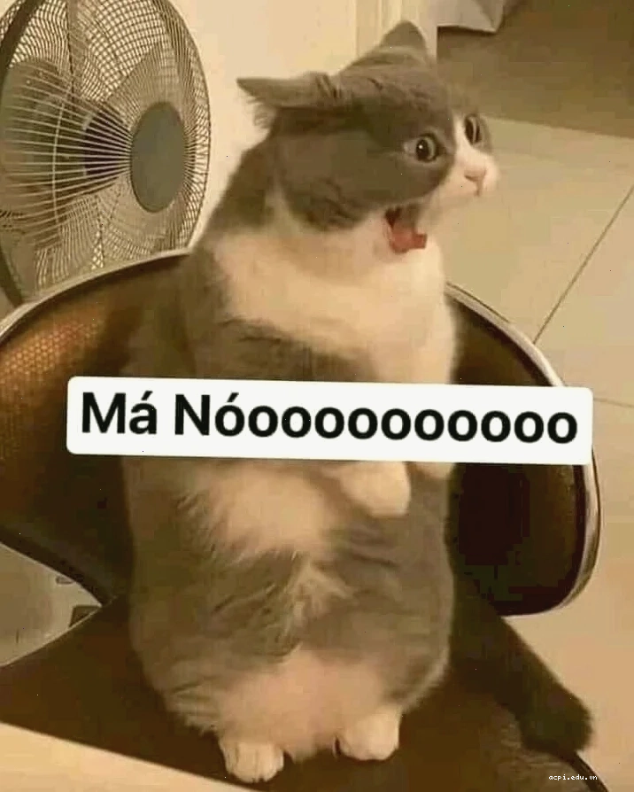 meme há mồm