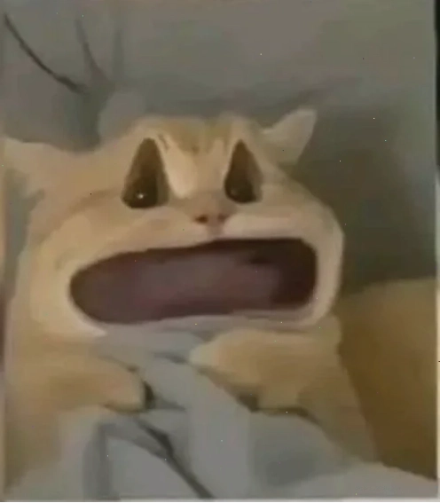 meme há mồm