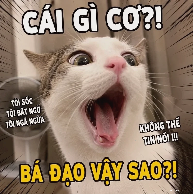 meme há mồm