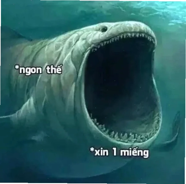 meme há mồm
