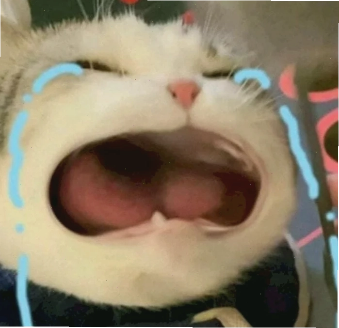 meme há mồm