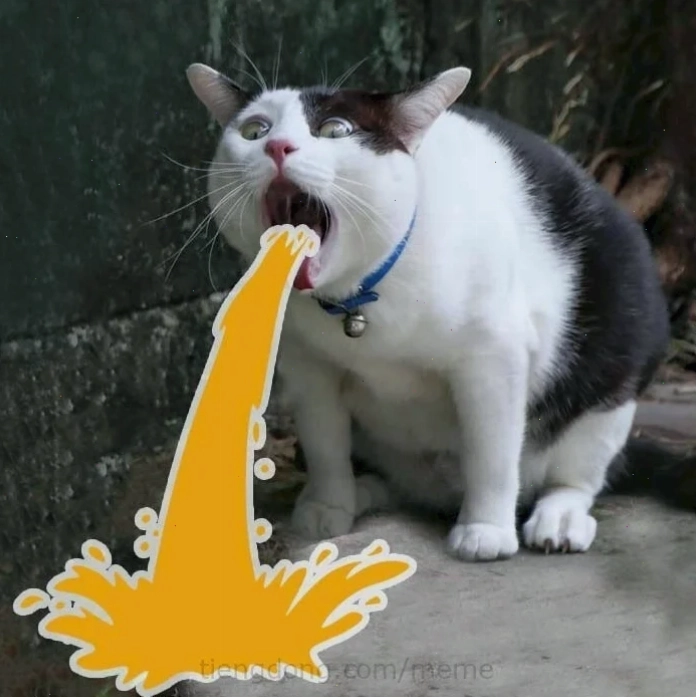 meme há mồm