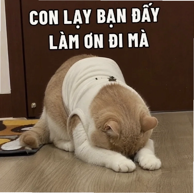Meme hài