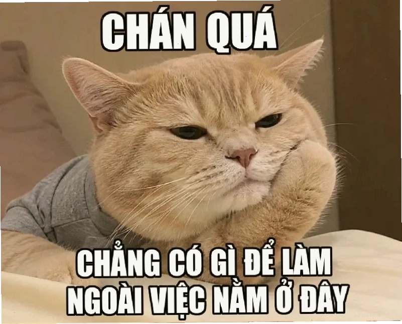 Meme hài