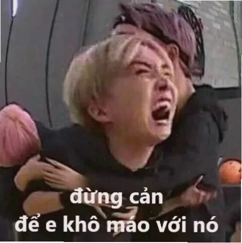 Meme hài anh đừng cản em