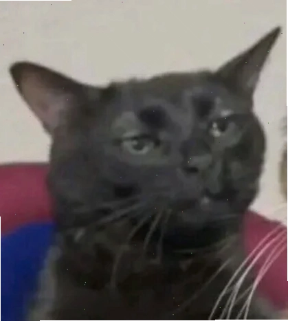meme hài cạn lời thua