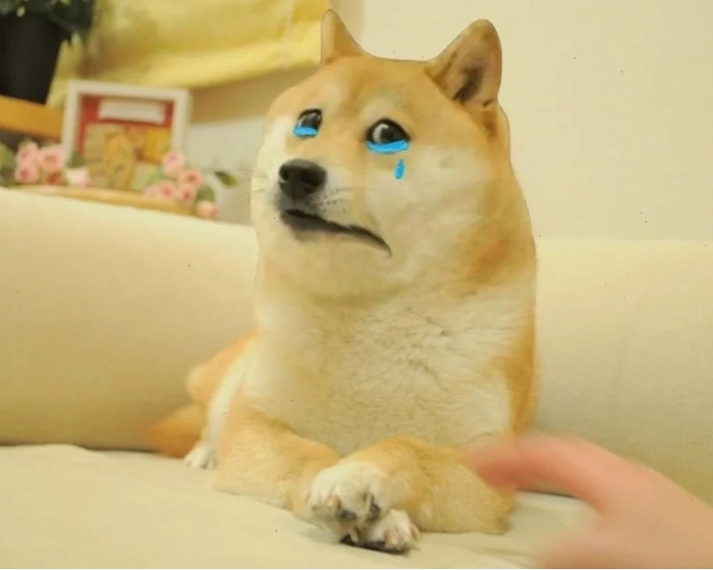 Meme hài hước