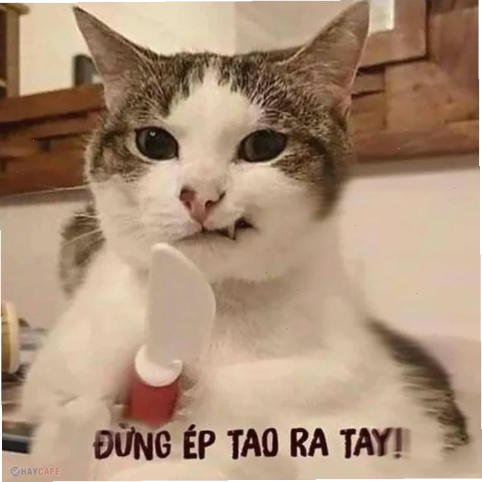 Meme hài hước