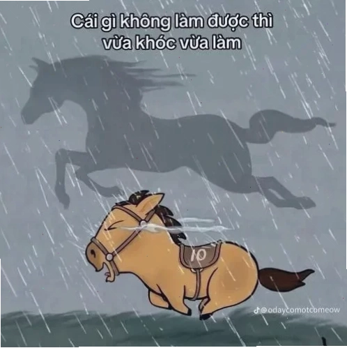 Meme hài hước chạy ngay đi