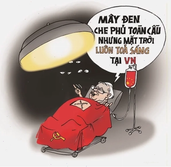 meme hài hước khó đỡ