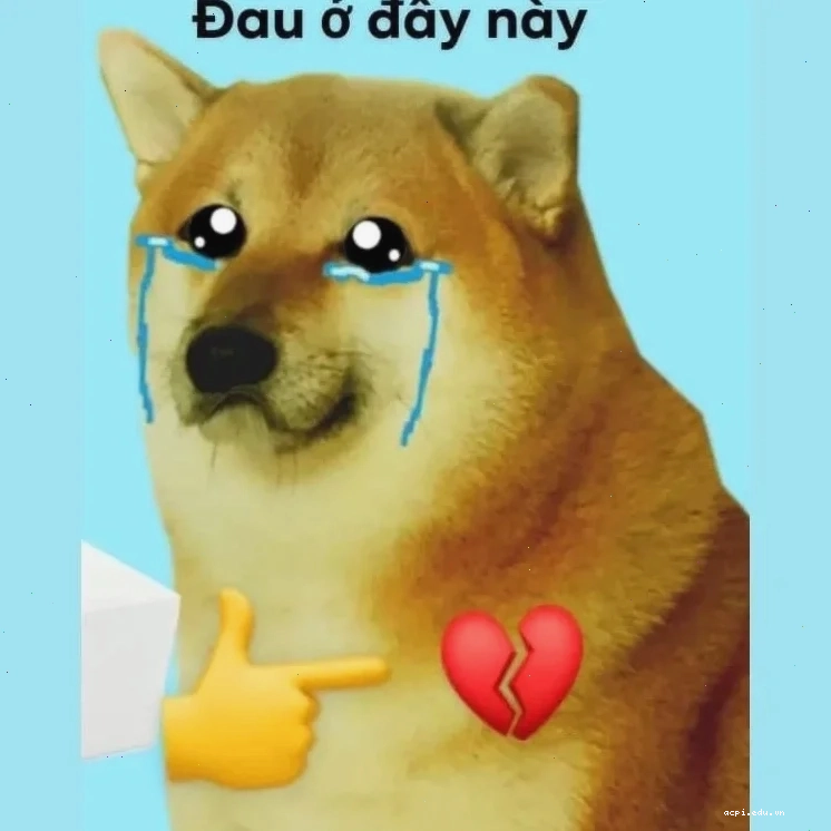 meme hài hước nhất