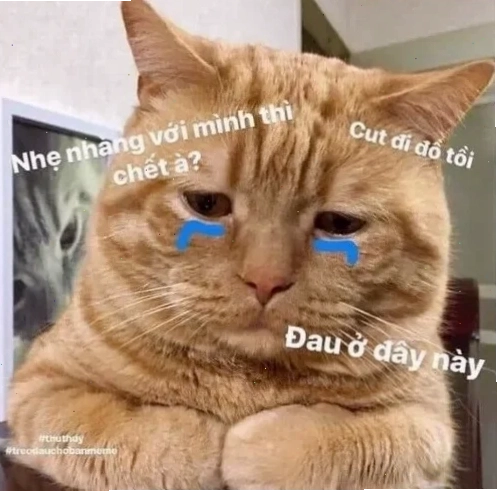 Meme hài hước viral nhất