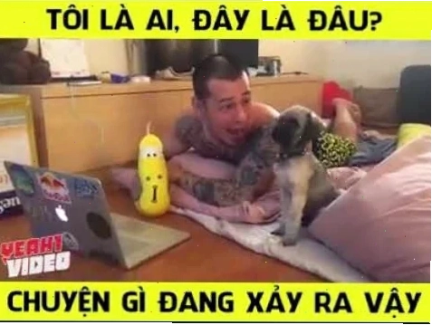 Meme hài nhất với đây là đâu tôi là ai meme