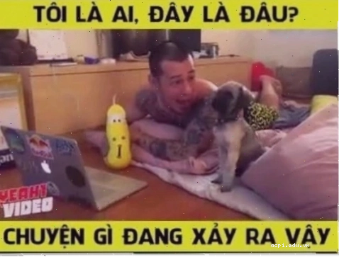 Meme hài nhất với đây là đâu tôi là ai meme
