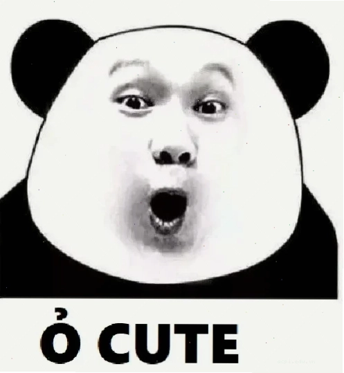 meme hài vui nhộn