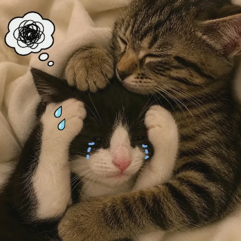Meme hét bất ngờ