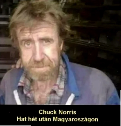 Meme hét gào thét