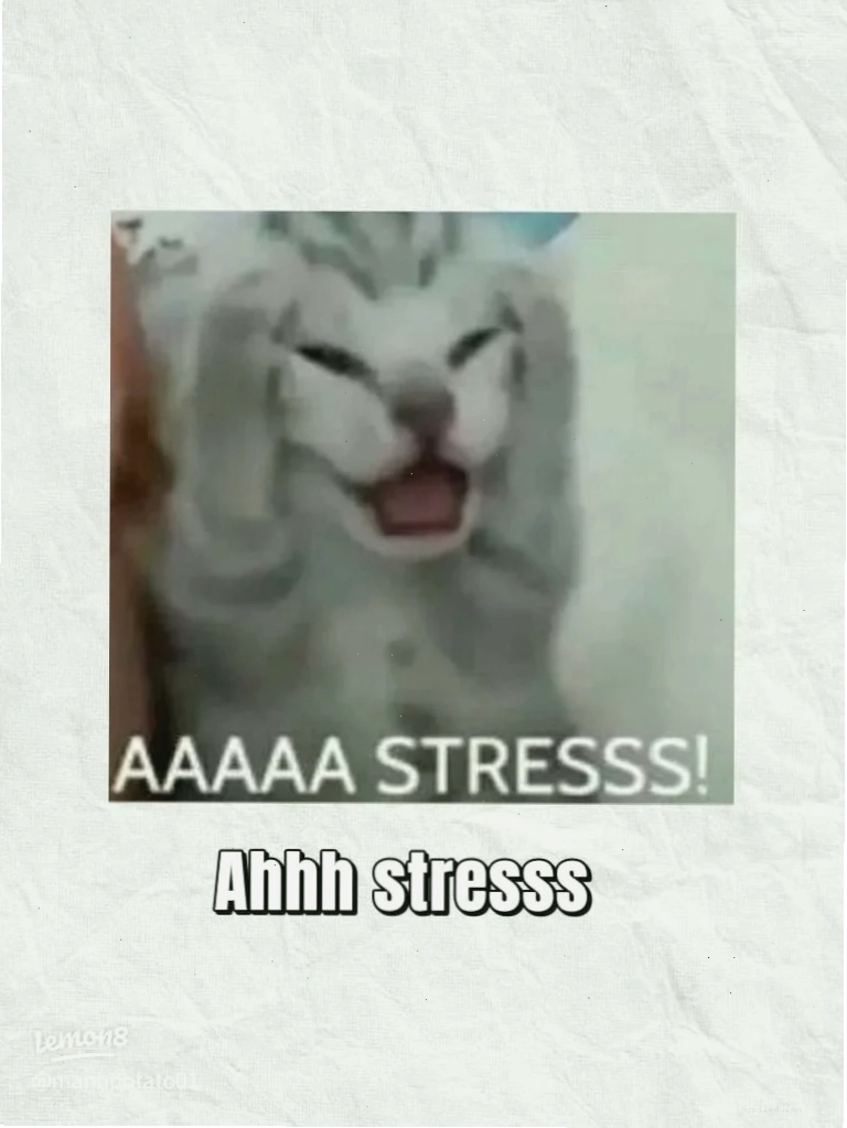 Meme hét giật mình