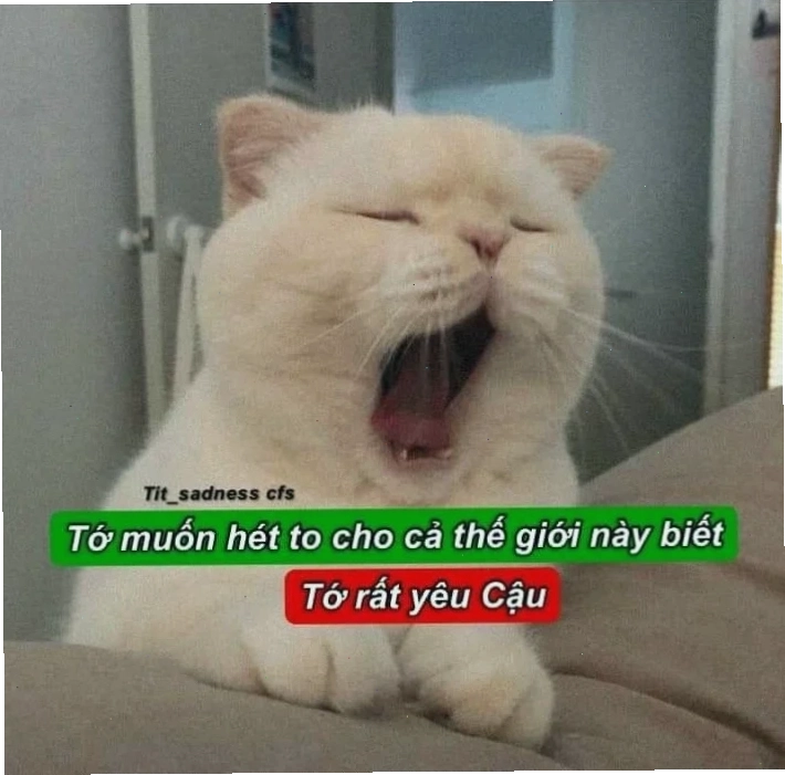Meme hét hoảng loạn