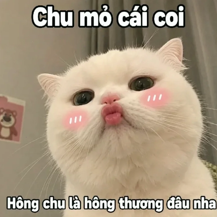 meme hết hồn