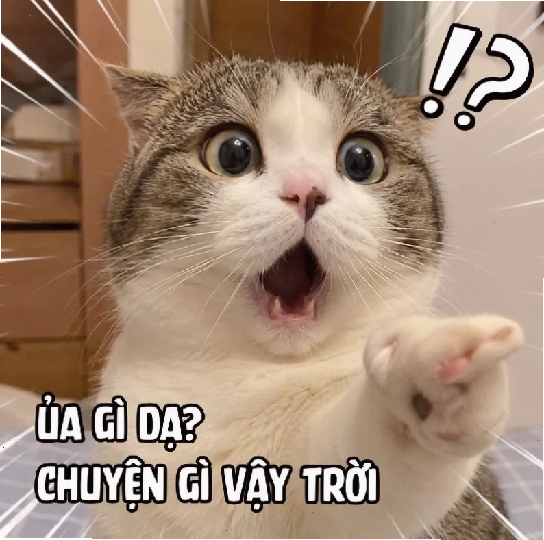 meme hết hồn