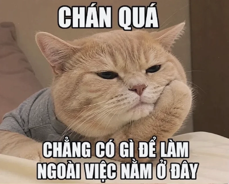 meme hết hồn