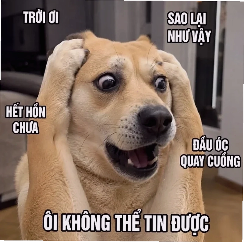 meme hết hồn