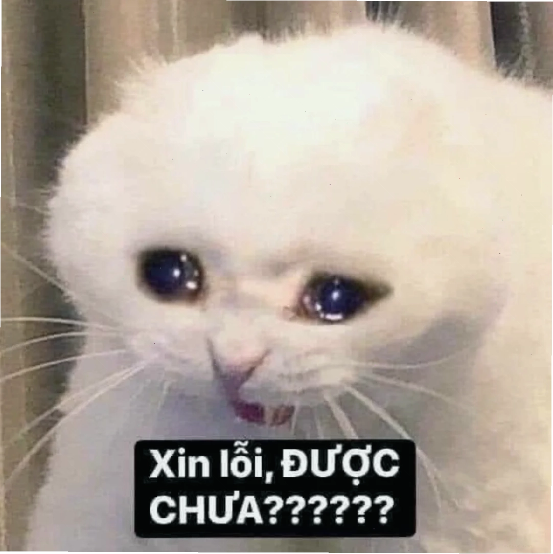 meme hết hồn